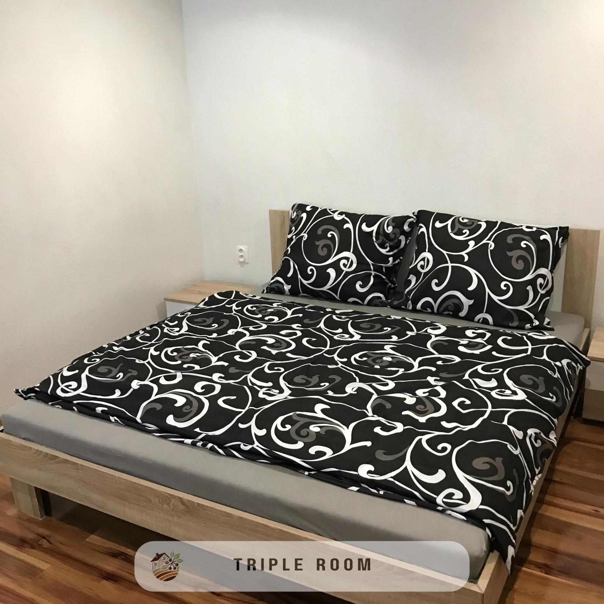 Apartmanovy Dom Visnove エクステリア 写真